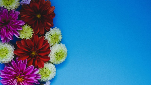 们充满感激 们充满感激