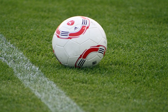 科学研究的 科学研究的