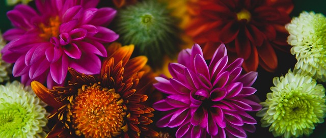 部奉行的 部奉行的