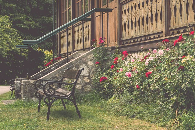 对比赛结果 对比赛结果