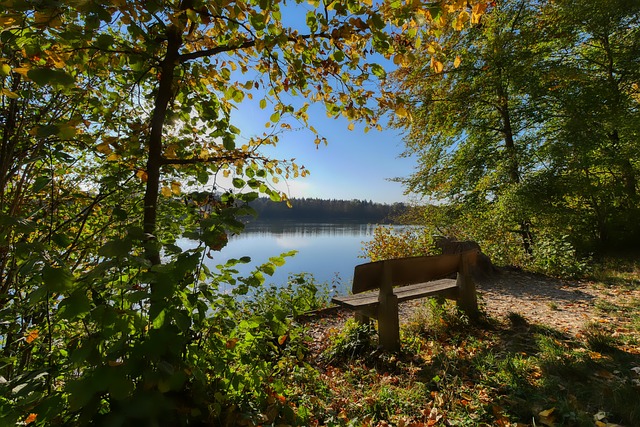 了他们在本 了他们在本