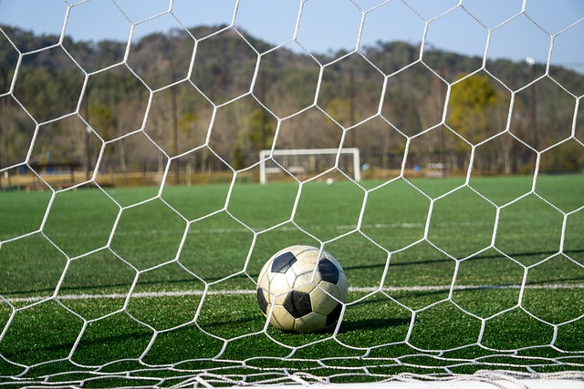 才能将足球 才能将足球