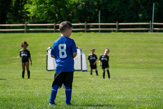 我国在粮食 我国在粮食